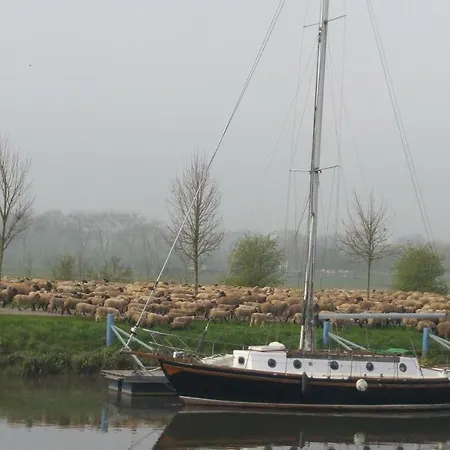 شقة Escale A L Amiraute *