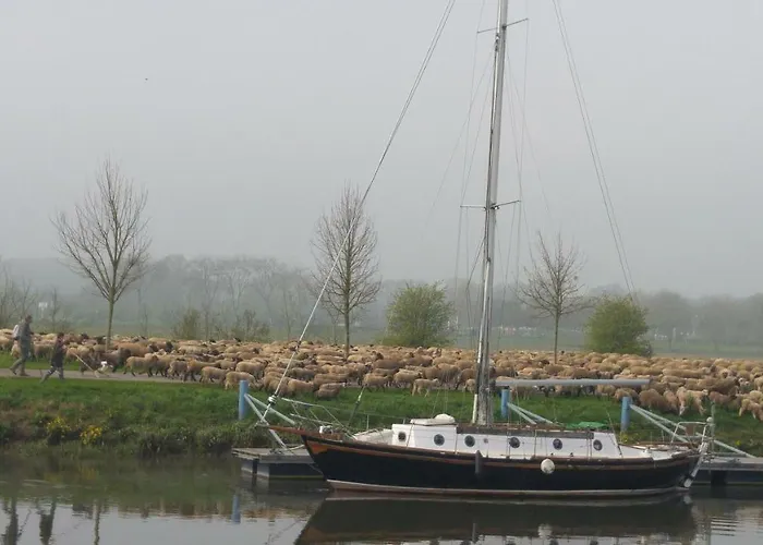Appartement Escale A L Amiraute *